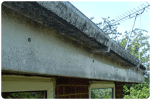 stevesGutter_before Debris removal from clogged gutter using professional tools