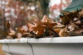 stevesguttersleakyguttertile1 gutter cleaning services near me